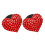 2Pz Diffusore Profumo Auto Clip Interno 6