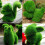 Green Animal Decoration Creative Grass Turf Handicraft for Home 5