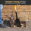 Drainage Fence Post Spade 1130mm Grafting Shovel 4