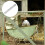 Chicken Wire Small Holes Decorative Mesh Netting Galvanized 2