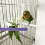 wooden bird perch rod for parrot chewing and scratching 2
