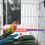 wooden bird perch rod for parrot chewing and scratching 7
