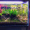 Evolution Aqua (12mm) Evolution Aqua Aquascaper Glass Pipework 6