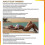 Tanning Cream Sunless Wheat Beach Bronzer Nutritious Massage Tanning Cream -u 17