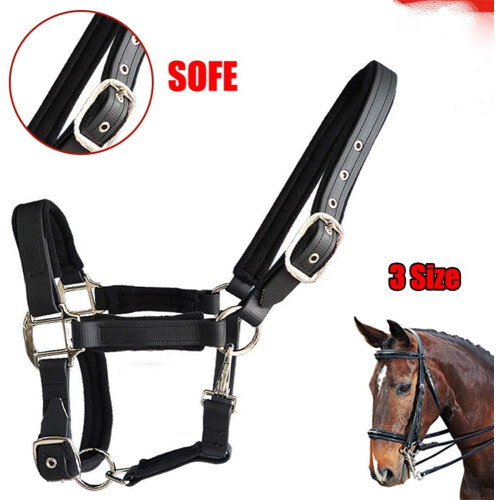 Horse Headcollar Double Layer Thickened Nylon Headcollar For Pony Three Sizes Blue Red Black 2