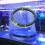 (Dia 25cm) Aquarium Round Air Bubble Diffuser Ring Fish Pond Oxygenation Bubble 3