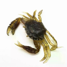 (Brown) 125mm 3D Crab Soft Lure Sea Fishing Equipment-Artificial PVC Crab Bait-Trap Luminous Lures For Boat