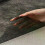 (white) 1x1M Black White Double-sided Adhesive Fabric DIY Accessories Sewing Patchwork Bonded Non-woven Lining 4