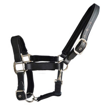 Horse Headcollar Double Layer Thickened Nylon Headcollar 3 Sizes Pony Size Blue Red Black