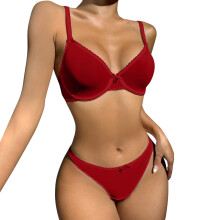 Women's Lingerie Sets Two Piece Lace Bra and Briefs Embroidered Negligees Translucent Deep High Waistband Red Size S