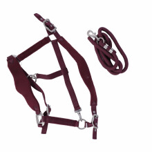 Wine Red Adjustable Horse Halter Set with 2m Leash for Training