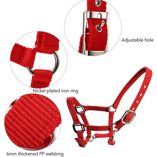 Thickened Webbing Halter For Horse Headcollar Double Layer 3 Sizes Blue Red Black 1
