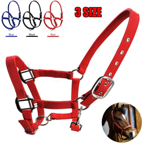 Thickened Webbing Halter For Horse Headcollar Double Layer 3 Sizes Blue Red Black 2
