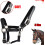Horse Headcollar With Double Layer Thickened Nylon Headcollar For Pony Three Sizes Blue Red Black 3