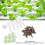 Hydroponic Pods Kit Plastic Peat Baskets Indoor Garden System 4