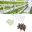 Hydroponic Pods Kit Plastic Peat Baskets Indoor Garden System 14