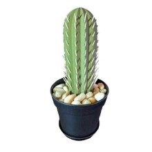 Cactus Toothpick Holder - 3D Printed Simulation Potted Desk Decor for Home & Kitchen