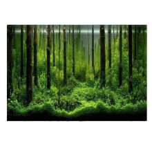 Aquarium Backdrop 3D PVC Adhesive Sticker For Underwater World Ocean Plants 30x42 cm