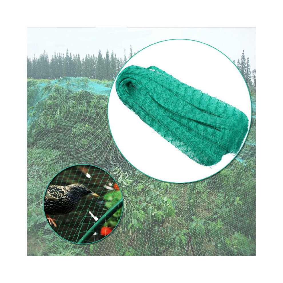 Gardening Anti Bird Net Protect Tree Net Fruit Crop Plants Pond Netting Mesh 2m x 10m-image-OPC-PJGBXDD-NEW