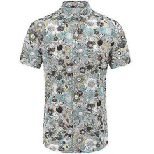 (2XL, Blue) Men's Hawaiian Floral Shirts Top, Short Sleeve Lapel Shirt Summer Print Shirt zZ