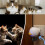 (UK PLUG, No Flavor) Blisso Cat Diffuser - 2025 Best Cat Pheromones Calming Diffuser 4