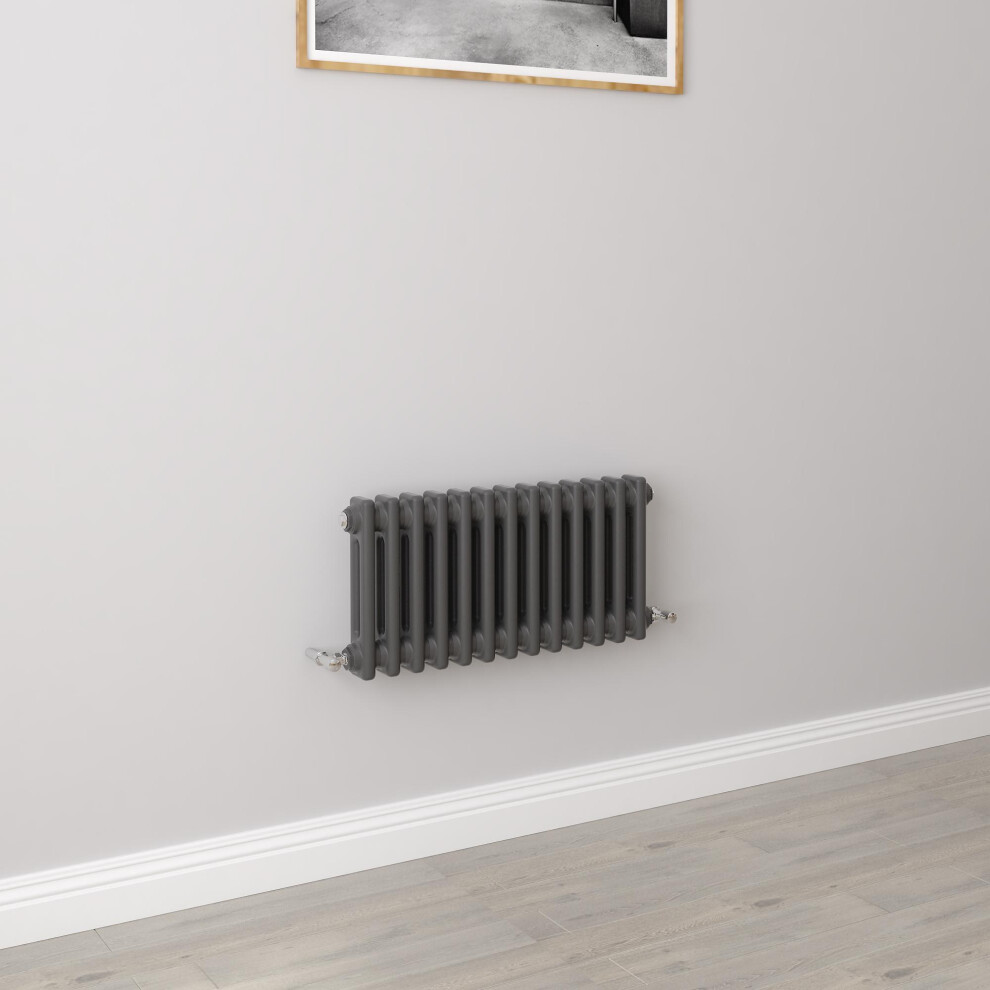 Aica (300X605mm 2 Column) Traditional Cast Iron Radiator Anthracite