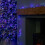Premier 6m 240 LED TreeBrights Christmas String Lights with Timer in Blue, Purple & White 5