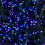 Premier 6m 240 LED TreeBrights Christmas String Lights with Timer in Blue, Purple & White 10