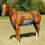 Horse Fly and Bug Guard Net Breathable Mesh Belly Protector Scratch Resistant 5