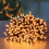 Premier 1000 LED Twinkling Christmas String Lights Timer Vintage Gold 25M 2