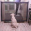 (Beige) Dog Magic Gate Mesh Safety Separation Guard Folding Fences 7