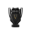Paco Rabanne INVICTUS VICTORY ABSOLU PARFUM INTENSE edp vapo 50 ml 1