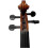 Violin 4/4 Size, Flame-Back Maple, Ebony Fittings, Accessories Included 3
