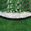 (Black, 6m) Garden Lawn Edging Border Fence Wall Driveway Roll Path 8