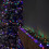 15.5m 600 LED Colour Changing Christmas String Lights in White to Multi-Colour 1