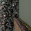 15.5m 600 LED Colour Changing Christmas String Lights in White to Multi-Colour 8