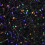 15.5m 600 LED Colour Changing Christmas String Lights in White to Multi-Colour 10