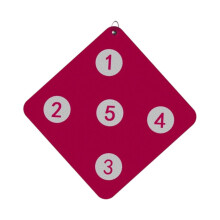 Fencing Target Training Device For Hanging Targets Compatible With Standard Fencing Targets Improves Accuracy