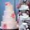 Multi-Layer Cake Supports Set with 12 Pieces Cake Dowels Rods for Tiered Cake, 4 Tier Cake Separator Plates 3
