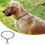 (65cm) Dog Chain Collars Strong Metal Dog Choker/ Iron  No Pull Pet Collar Chain 5