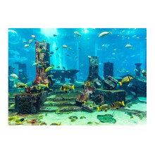 Coral Aquarium Background 61x41 Cm Blue Poster, Underwater Wall Deco Sticker For Aquarium, Aquarium Backdrop
