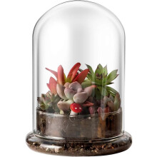 Lasikupolin kannen koristeellinen näyttökotelo Cloche Bell Jar Terrarium kirkkaalla pohjalla 150x210mm