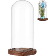 Copertura a cupola in vetro, vetrina decorativa, campana, terrario con base in legno per fai da te conservato