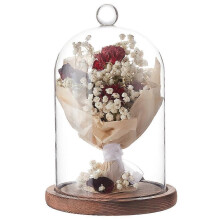 Copertura a cupola in vetro decorativo, vetrina, campana, terrario con base in legno, marrone cocco