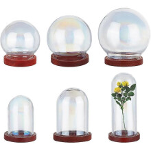 6 stili Mini cupola di vetro Cloche Vetrina in vetro trasparente con base rotonda in legno Impostazione