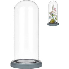 Copertura a cupola in vetro da 4,92x10,35 pollici, terrario a campana con base in legno, custodia decorativa