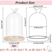 Eternal Glass Dome Cloche 4.87.5" Clear Cloche Bell Jar Terrarium Bird Top Glass Display Dome Cover