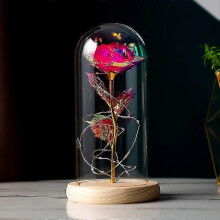 (Rose red)Beauty And The Beast Rose Forever Infinity Rose In Glass Dome Eternal Led Light