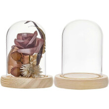 2 pezzi Cupola di vetro in miniatura 91x112 mm Cupola di vetro con base in legno Piccole cupole di vetro