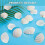 40PCS Natural Scallop Shells 1.4-2.4inch White Small Sea Shells compatible with Crafts Crafting Shell 3